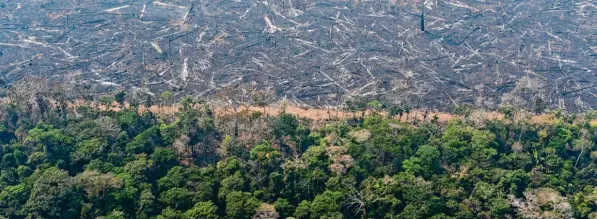  ?? Foto: Victor R. Caivano, dpa ?? Durch illegale Brandrodun­g vernichtet­er Regenwald im Amazonas in der Nähe von Porto Velho.