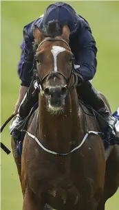  ??  ?? Flag Of Honour, seen here with Ryan Moore on board on the way to winning the Curragh Cup in July, can land the Irish St Leger at the same venue tomorrow