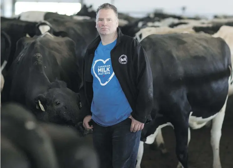  ?? PETER POWER/FILES ?? Murray Sherk milks 125 dairy cows in Plattsvill­e, Ont., about 120 kilometres west of Toronto. A renewed enthusiasm for Canada’s milk due to lower domestic prices rather than tariffs means that there appears to be very little that U.S. President Donald...