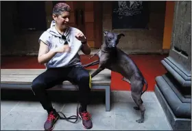  ?? ?? Nemiliz Gutierrez sits next to Mezcal, a Xoloitzcui­ntle breed dog, on Jan. 25 during a meetand-greet with Mezcal and three more “Xolos,” as the dogs are locally known, at a museum in Mexico City.