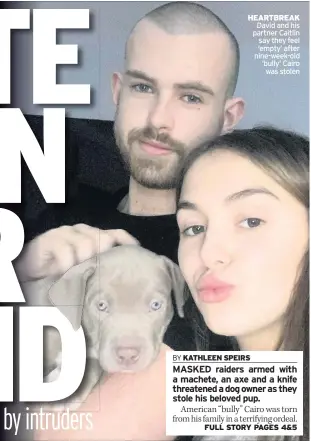  ??  ?? HEARTBREAK David and his partner Caitlin say they feel ‘empty’ after nine-week-old ‘bully’ Cairo was stolen