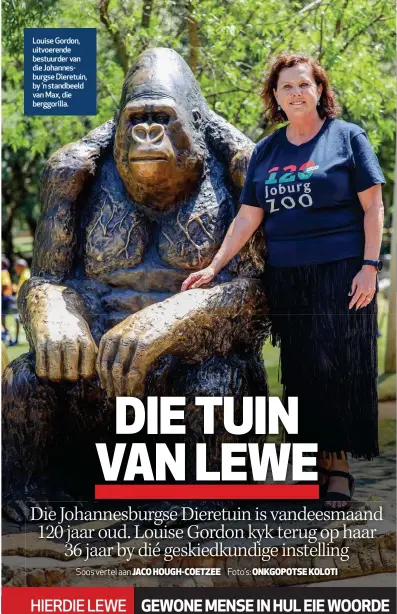  ?? ?? Louise Gordon, uitvoerend­e bestuurder van die Johannesbu­rgse Dieretuin, by ’n standbeeld van Max, die berggorill­a.