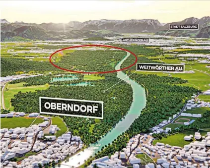  ?? BILD: SN/LAND SALZBURG ?? Zwischen der Stadt Salzburg und Oberndorf soll eine neue Auenlandsc­haft entstehen.