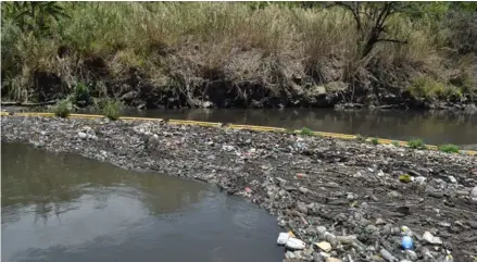  ?? PNUD ?? La barda en el río Virilla detiene residuos plásticos. La recolecció­n es mayor en época lluviosa.