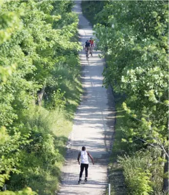  ?? CARLOS OSORIO/TORONTO STAR FILE PHOTO ?? Improvemen­ts to the Don River ravine have included new points of entry, widened trails and art installati­ons.