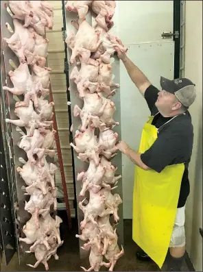  ?? Arkansas Democrat-Gazette/NATHAN OWENS ?? Scott Ridenoure, part owner B&R Processing and Taxidermy, inspects a rack of freshly processed pasture-raised chicken. The business’ new USDA-inspected poultry line in Winslow processes about 600 chickens every Monday.