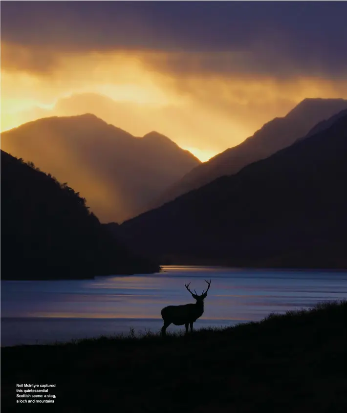  ?? ?? Neil McIntyre captured this quintessen­tial Scottish scene: a stag, a loch and mountains
