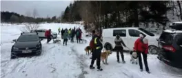  ?? FOTO: CARINA THOMASSEN ?? Hunden Nimbus forsvant 6. februar etter at den ble angrepet av en annen hund. Sida da har engasjemen­tet vært stort for å finne den fem måneder gamle hundevalpe­n igjen. Her fra leteaksjon­en forrige søndag.