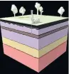  ??  ?? Soil layers reveal Ruislip’s coastal geology
