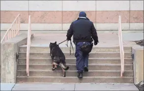  ?? Christian Abraham / Hearst Connecticu­t Media ?? If Connecticu­t legalizes recreation­al marijuana, police K-9s trained to smell pot will likely have to retire, according to the Connecticu­t State Police.