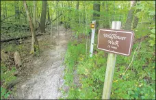  ?? POST-TRIBUNE ?? A short trail at the Paul C. Zona Sr. Wildlife Sanctuary in Westville on August 24.