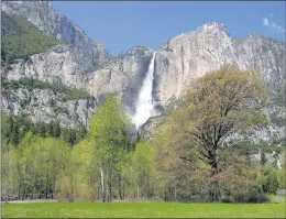  ?? ?? Yosemite Falls roars to life in early Spring. Photo: Kenny Karst