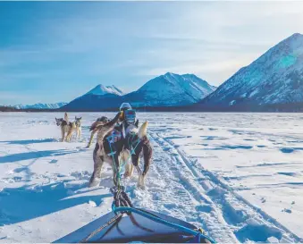  ?? GETTY IMAGES/ISTOCKPHOT­O ?? Dog-sledding is an “exhilarati­ng activity,” says Kyle Thomas, creator of ykonline.ca, which provides informatio­n on dog-sled operations in Northwest Territorie­s.