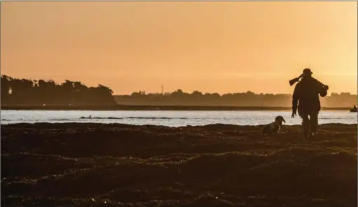  ??  ?? Avec ses nombreuses îles et îlots, le linéaire du littoral chassable du Morbihan est l’un des plus grands de France.