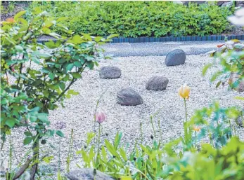  ?? FOTO: ANNETTE RIEDL/DPA ?? Werden Flächen mit Steinen versiegelt, gibt es keinen Lebensraum für Flora und Fauna. Über die Reichweite des Verbots solcher Anlagen gibt es bei Grün-Schwarz aber Streit.