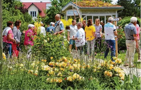  ?? Foto: Monika Leopold Miller ?? Gartenlieb­haber trafen sich gestern beim Tag der offenen Gartentür in Neuburg im Garten von Emmigunde und Josef Schuster.