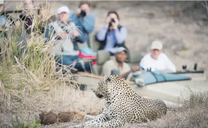  ?? Picture: Shuttersto­ck ?? CHANGE THE LEOPARD’S SPOTS. Starting to think of reinventin­g the tourism industry for post Covid-19 might not be a bad idea.