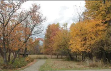  ?? KRISTI GARABRANDT — THE NEWS-HERALD ?? Fall colors such as those displayed at Penitentia­ry Glen on Nov. 5, will soon be fading.