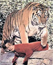  ??  ?? CLAWS FOR THOUGHT Tippi Hedren and one of her furry co-stars in Roar (1981)