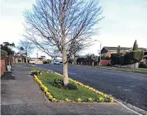  ?? PHOTO: STEVEN ARMITAGE ?? Some pretty neighbourh­ood gentrifica­tion on Larnach Rd, Waverley. Wouldn’t it be nice if a few more residents across Otago brightened up their verges like this? A big green thumbsup for this effort!