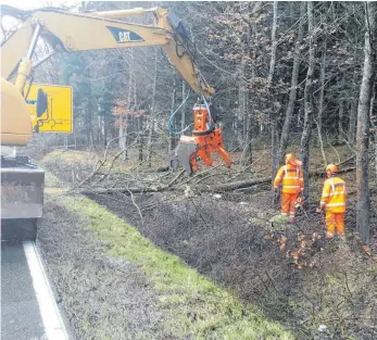  ?? FOTO: STEFAN FUCHS ?? Die Spaichinge­r Straßenmei­sterei fällte am Dienstag zwischen Spaichinge­n und Schura präventiv kranke oder schiefe Bäume, um mögliche Sturmschäd­en zu vermeiden.