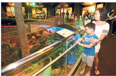  ??  ?? Impressive display: Ang Ting Ting, 45, and her son Tan Wen Zhe, nine, are amazed at the prehistori­c creature displays at the Geotime Diorama exhibition area in Petrosains.
