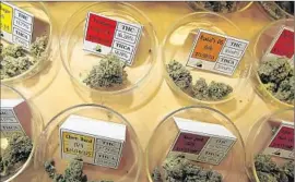  ?? Luis Sinco
Los Angeles Times ?? MULTIPLE VARIETIES of pot are on display at a medical marijuana dispensary in Oakland. Two bills that would regulate medical pot have advanced.