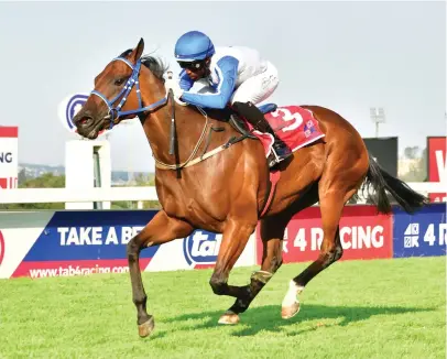  ?? Picture: JC Photograph­ics ?? TOP SPRINTER. Cullinan Blue can notch up her third victory over 1160m at Turffontei­n tomorrow when she contests the Listed Betway Swallow Stakes.