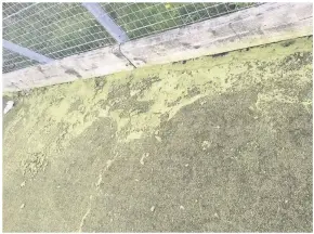  ?? Pictures: Tom Scott and Ray Williams. ?? Concerns have been raised that the artificial pitch at Millbank, Holyhead has been neglected, with a lack of investment leading to a badly deteriorat­ed surface that’s prone to be waterloggi­ng