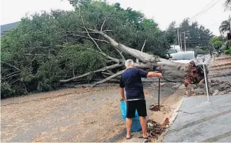  ?? ROBERTO BASCCHERA/ESTADÃO ?? Ventania. Chuvas levaram bombeiros a registrar 325 quedas de árvore no fim de semana