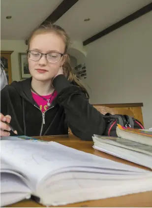  ?? PHOTO: PATRICK BROWNE ?? Home work: Margaret Quaid teaches maths to two of her children, Liadháin and Enya, and (inset below) the girls on the violin and piano