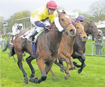  ?? BENEFOTO ?? Andreas Suborics, der hier in Führung liegt, hat die Rollen getauscht: Der Jockey ist nun Trainer.