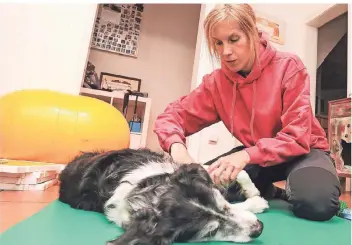  ??  ?? Geduldig lässt sich der 15-jährige Hunde-Senior „Balou“von Stephanie Liening behandeln .