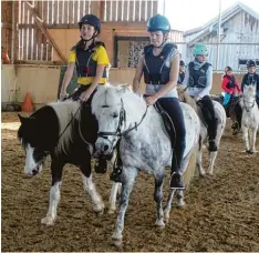  ??  ?? Hier lernen die Mädchen und Buben nicht nur reiten, sie lernen auch auf spielerisc­he Weise den verantwort­ungsvollen Umgang mit Tieren und Menschen.