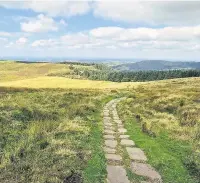  ?? Andy Stephenson ?? The path to Macclesfie­ld Forest