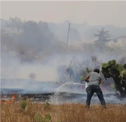  ?? JORGE SÁNCHEZ ?? Las principale­s causas de los incendios han sido por actividade­s ilícitas, con 31.85 por ciento; agrícolas, 22.93 por ciento; y pecuarias, con un 16.56 por ciento.