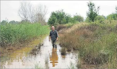  ?? FUNDACIÓN BANCO SANTANDER ?? Roberto Hartasánch­ez, president del grup ecologista FAPAS, a la maresma de Rubín