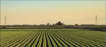  ?? ADOBE STOCK ?? Green rows of Agricultur­e fields in Calexico along the Interstate 8 east on the boarder of California and Mexico.