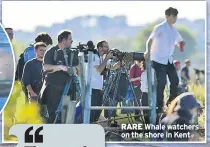  ??  ?? RARE Whale watchers on the shore in Kent