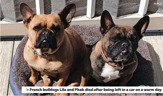  ?? RSPCA ?? > French bulldogs Lila and Phab died after being left in a car on a warm day