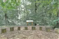  ?? INSUBRIPAR­KS ?? Una piccola ‘aula nel bosco’ al Parco delPenz