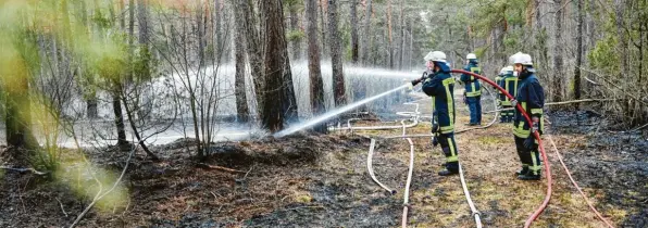  ?? Foto: Peter Fastl ?? Die Berufsfeue­rwehr und mehrere Freiwillig­e Feuerwehre­n waren beim Waldbrand im Stadtwald im Einsatz.