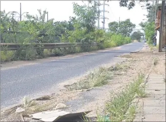  ??  ?? Esta cubierto de arbustos y yuyos el paseo peatonal entre el canal abierto de Madame Lynch y la vieja vía que corre paralela. Se nota que hace años la Comuna no limpia.