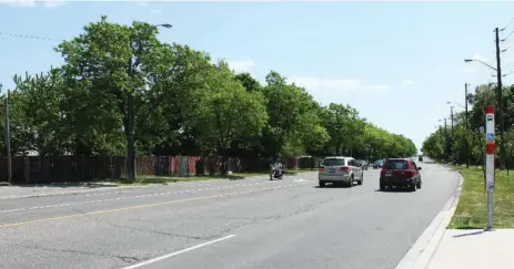  ?? JENNIFER PAGLIARO/TORONTO STAR ?? This green stretch of Bellamy Rd., with backyards looking onto a four-lane thoroughfa­re, is part of a route being considered for the Scarboroug­h subway.