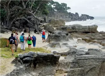  ??  ?? Above left: The group that went into the Waipu Caves Walk. Middle left: Walking beside the rocks on the Waipu Coastal Walks.