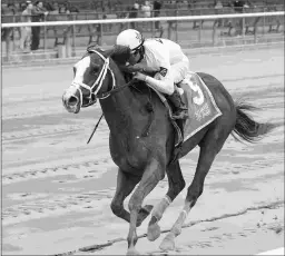  ?? CHELSEA DURAND/NYRA ?? Americanre­volution wins the Empire Classic on Oct. 30 at Belmont, earning a Beyer Figure of 108.