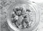  ?? GILLIAN FLACCUS/AP 2019 ?? Medical marijuana in a jar on the counter at a dispensary in Sherwood, Oregon.