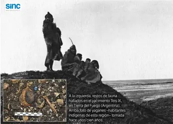  ??  ?? A la izquierda, restos de fauna hallados en el yacimiento Teis IX, en Tierra del Fuego (Argentina). Arriba,foto de yaganes –habitantes indígenas de esta región– tomada hace unos cien años.