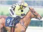  ??  ?? WILLIE MULLINS has indicated that Cilaos Emery and Melon (above) could both stay over hurdles next season.
The pair fought out the finish of the Grade 1 novice hurdle at Punchestow­n on Tuesday evening.