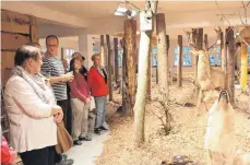  ?? FOTO: FELKER ?? Die „Naturräume“werden gerade in mühevoller Kleinarbei­t aufgebaut. Nicht nur die Bäume sind echt, auch der Boden stammt aus der jeweils dargestell­ten Region.